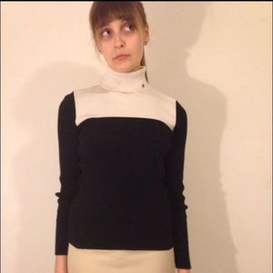 Chic Ralph Lauren Turtle Neck Sweater