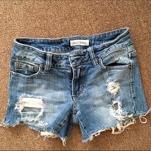 Very Cute Distressed Denim Shorts