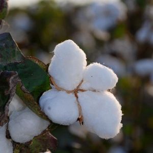 Meet your Posher, Margaret