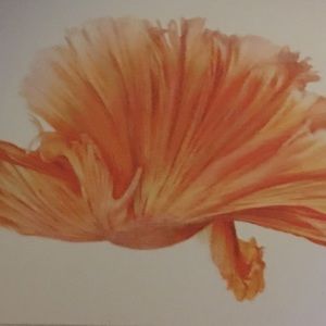 Meet your Posher, Gary