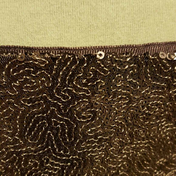 Sequin Skirt - Picture 2 of 4