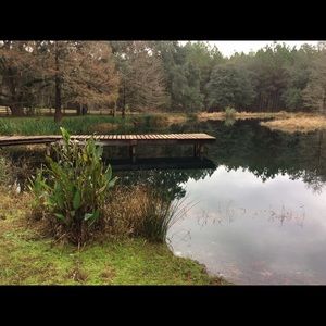 Meet your Posher, Kendall