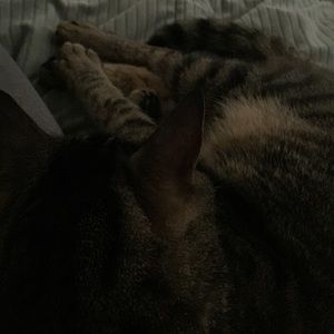 Meet your Posher, Jess