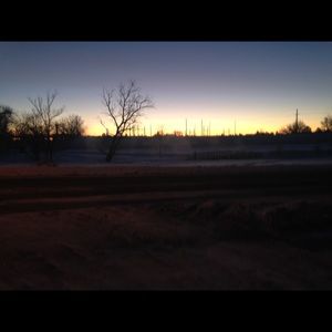 Meet your Posher, Chelsea