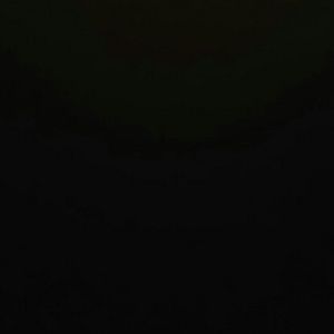 Meet your Posher, Savannah