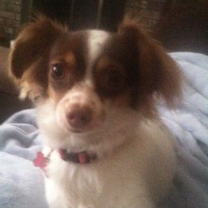 Meet your Posher, Lynne