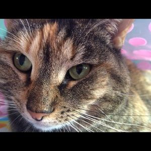 Meet your Posher, Adrienne