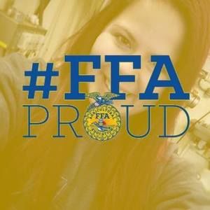 Meet your Posher, Marisa