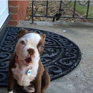 Meet your Posher, Tina