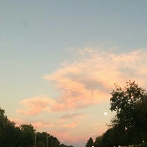 Meet your Posher, Darlene