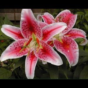 Meet your Posher, Gen