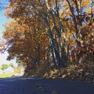 Meet your Posher, Acadia