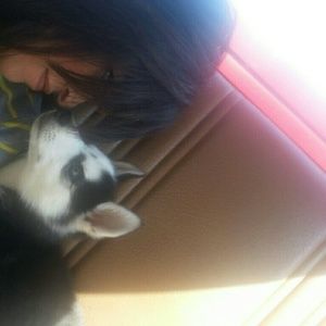 Meet your Posher, Lisa