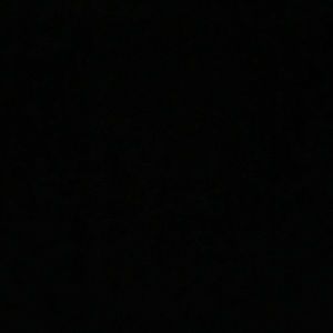 Meet your Posher, Marlene