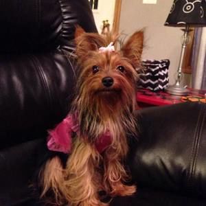 Meet your Posher, Barbara