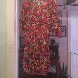 Ivy Jane Tunic/dress