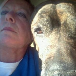 Meet your Posher, Cindy