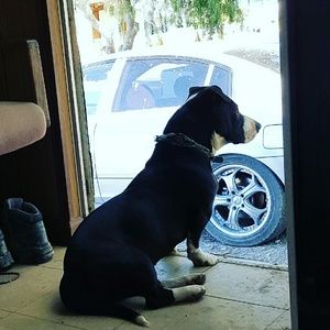 Meet your Posher, Ana