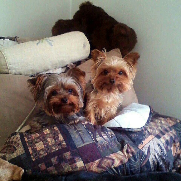 Meet your Posher, Cynthia