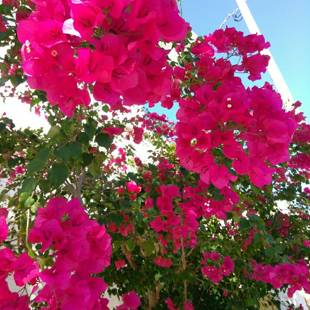 Meet your Posher, Erin (smoke free home)