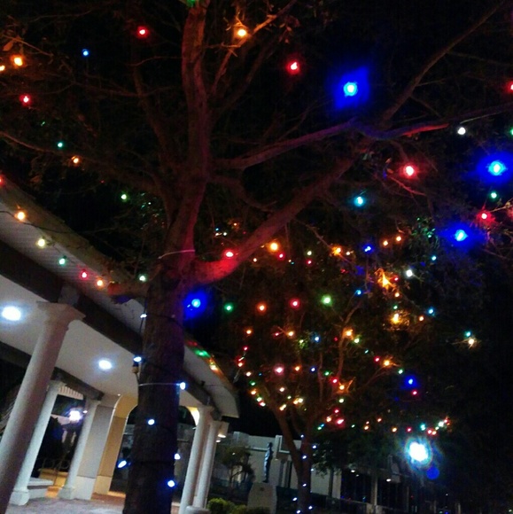 Meet your Posher, Erin (smoke free home) - Picture 8 of 8