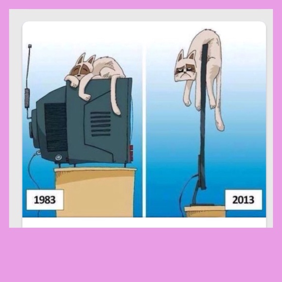 CAT LADY PRINT 🐈🐈🐈🐈🐈🐈🐈🐈 - Picture 2 of 4