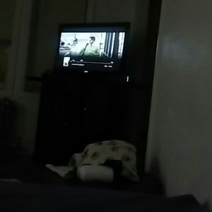 Meet your Posher, Hector