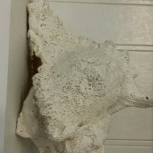 Meet your Posher, Kimberly - Picture 1 of 1