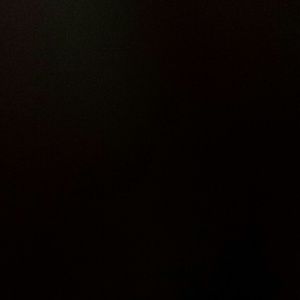 Meet your Posher, Sylvia