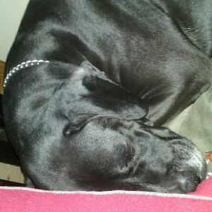 Meet your Posher, Billie