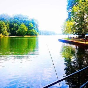 Meet your Posher, Tater