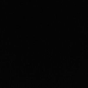 Meet your Posher, Candice