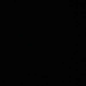 Meet your Posher, Abigail