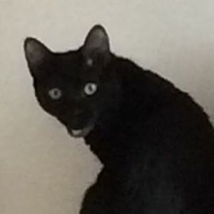 Meet your Posher, Naomi