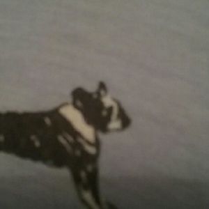 Meet your Posher, Marsha