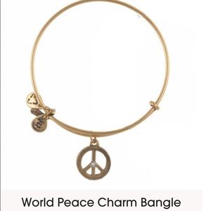 Alex and Ani world peace charm bangle