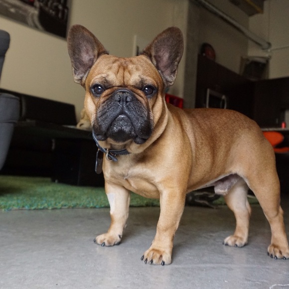 Your Posher, Myah ๐ - Picture 3 of 4