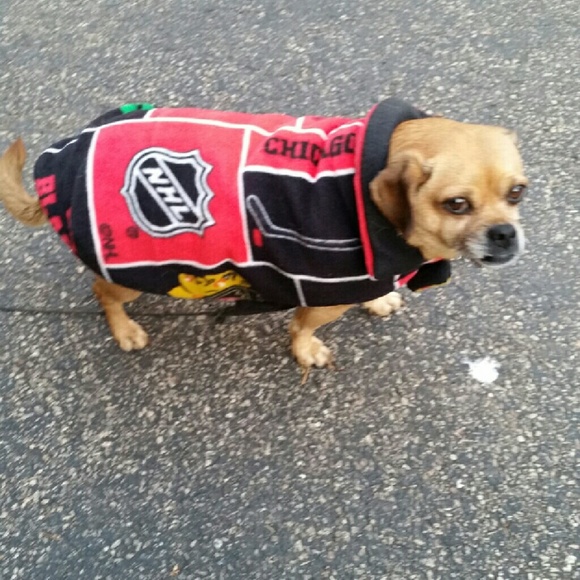 Meet your Posher, Heidi - Picture 2 of 2