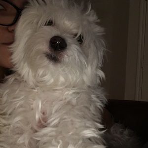 Meet your Posher, Beatriz