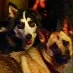 Meet your Posher, Chris