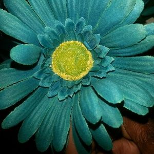 Meet your Posher, Renata