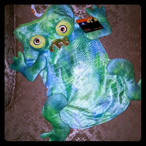 Top Paw Frog Halloween Costume