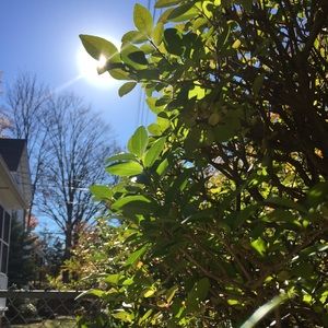 Meet your Posher, Luisa