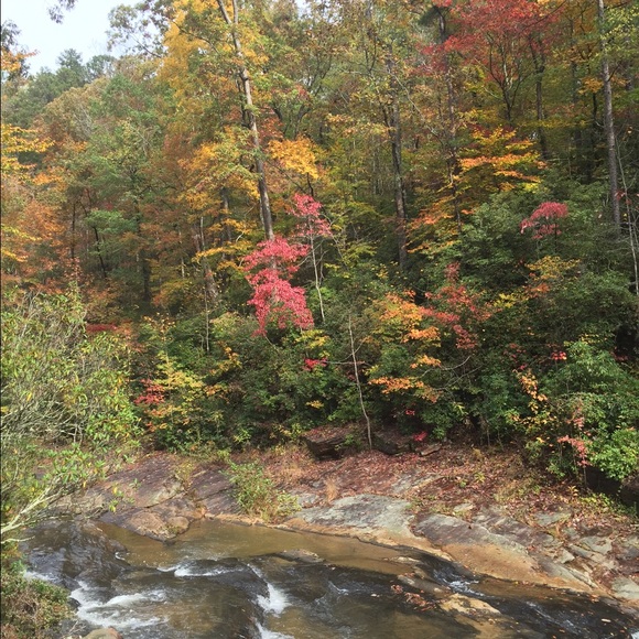 Meet your Posher, Carol