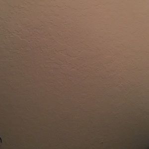 Meet your Posher, Kelsi