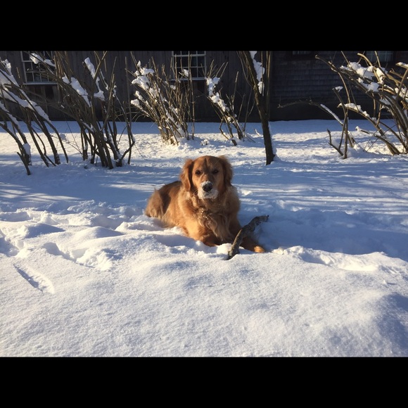 Meet your Posher, Heather - Picture 1 of 1