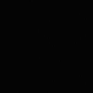 Meet your Posher, Caprice