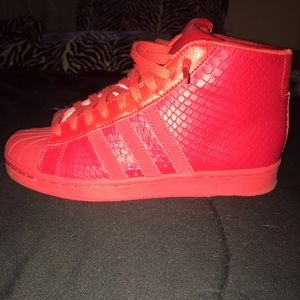 Adidas Pro Model