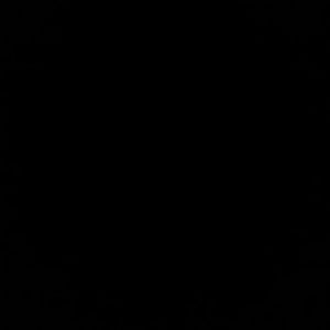 Meet your Posher, Teresa