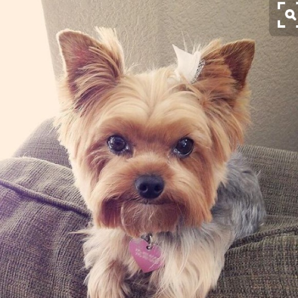 Meet your Posher, Mikayla